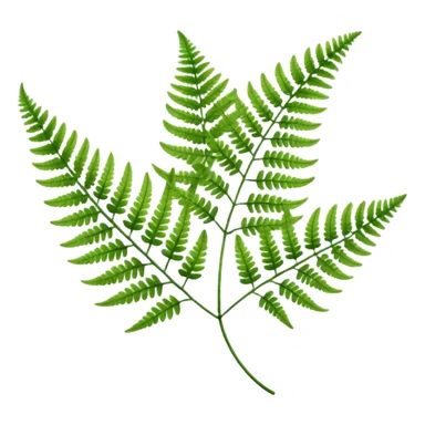 Fern sticker