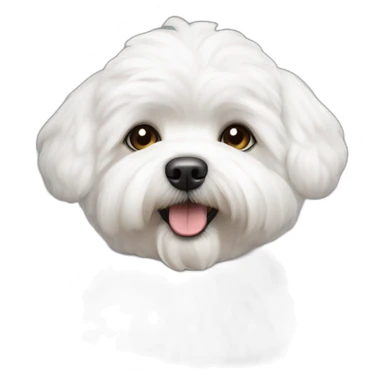 Bichon maltais sticker