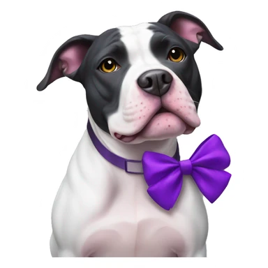black and white pitbull with a purple bow sticker