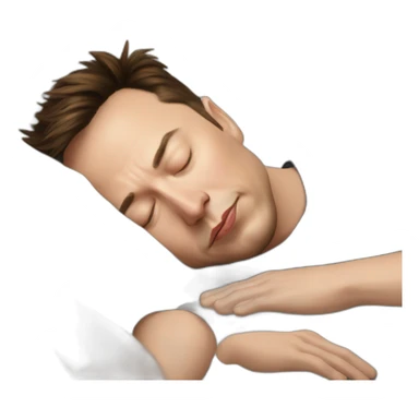 Elon-musk-sleeping sticker