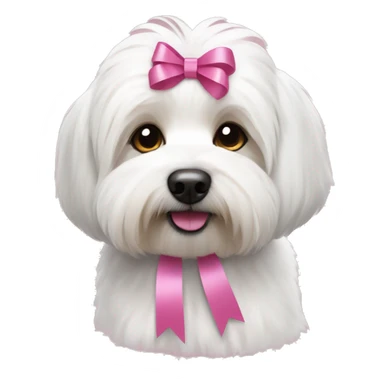 short haired Coton de Tulear dog with brown and grey mixed ear and pink ribbons sticker
