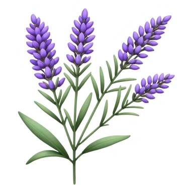 Lavender  sticker