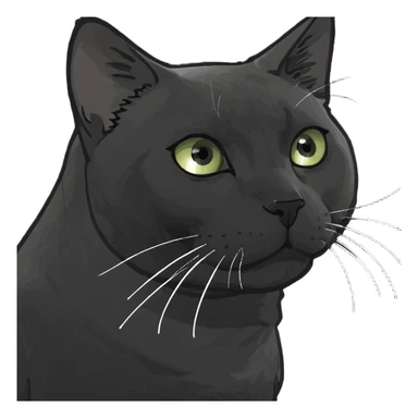 Cat wearing a black t shirt  sticker
