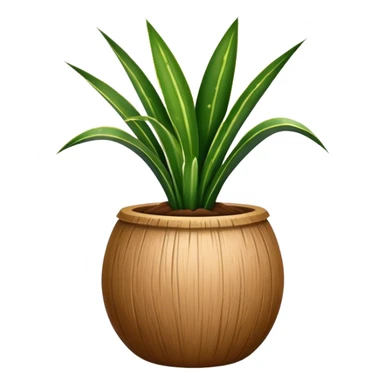 Sansevieria plant in round coconut pot sticker