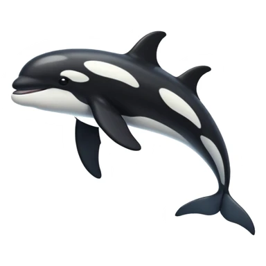 killer whale sticker