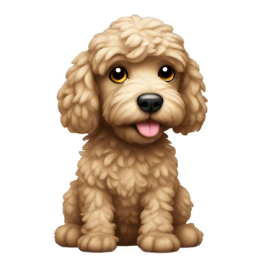 Cozy cocky poo sticker