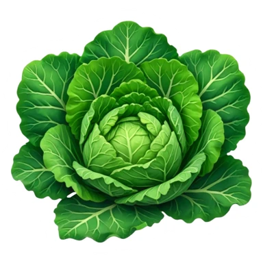 Savoy cabbage sticker