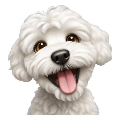 White Maltipoo dog that has a single tooth showing out of their mouth  sticker