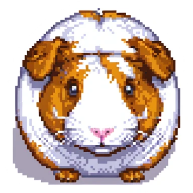 guinea pig sticker