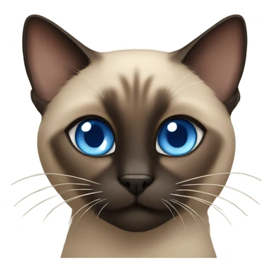 fluffy black and brown siamese cat with blue eyes  sticker