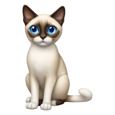 Snowshoe Siamese cat with blue eyes one side of his face dark brown and other cream sticker