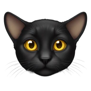 Black lop-eared cat with yellow eyes sticker