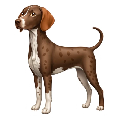 orange spotted german short haired pointer sticker