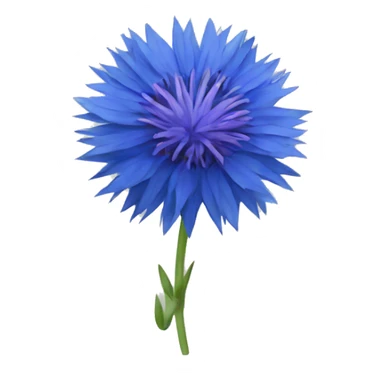 blue cornflower sticker