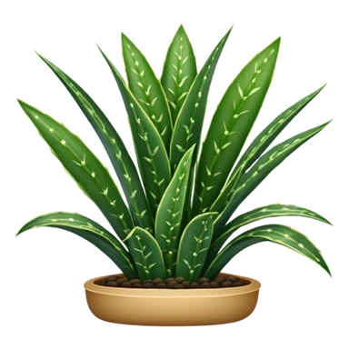 SANSEVIERIA sticker