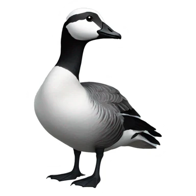 Barnacle goose sticker