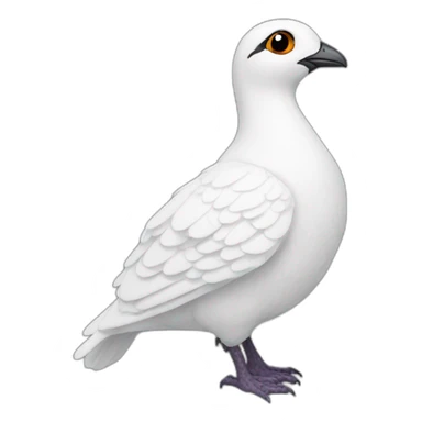 male Rock Ptarmigan sticker