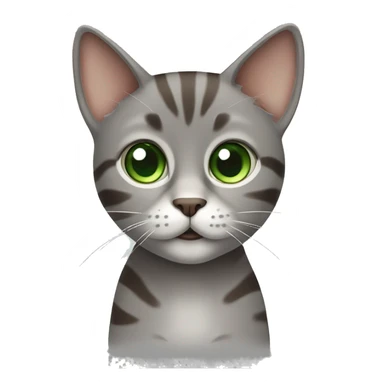 Cute European grey and brown cat with big Green eyes sticker