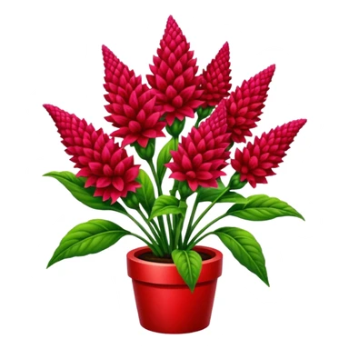 celosia plant sticker