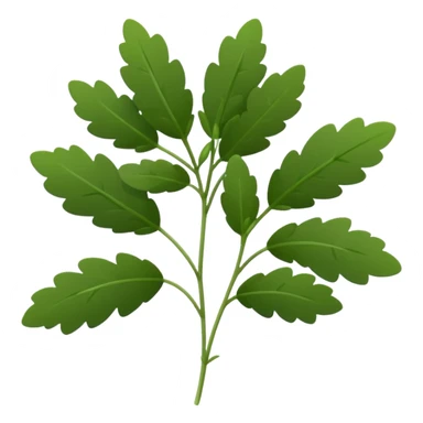 small sprig of fresh thyme with thin green stems and clusters of tiny oval deep green leaves, delicate texture, slightly woody base, dense evenly spaced leaves, soft lighting, subtle shadows, emoji scale sticker