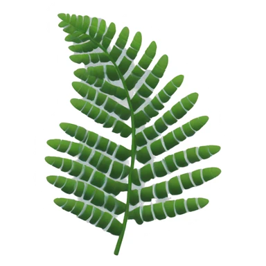 silver fern sticker
