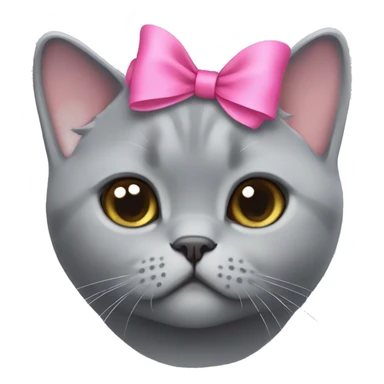 Grey british shorthair cute with a pink bow on her head sticker