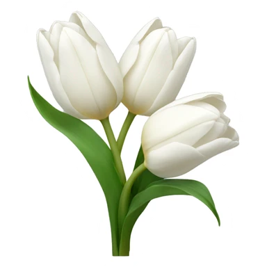 Bouquet of white tulip sticker
