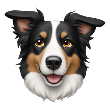 Short haired border collie dog with one ear up and one ear down sticker