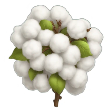 champs de cotton sticker