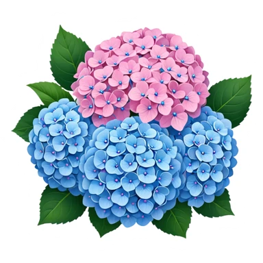 Hydrangea pink and blue mixed sticker