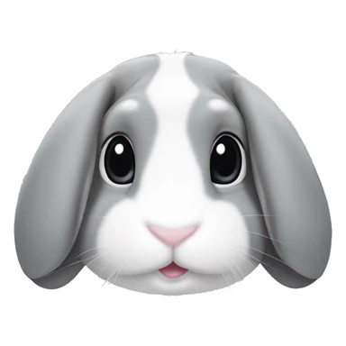 Mini lop eared rabbit, grey, with a white patch on nose and a white stripe on the top of the head sticker