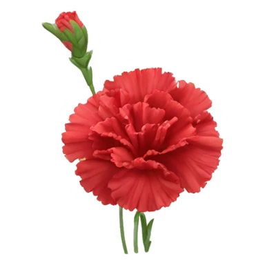 red head Carnation flower sticker
