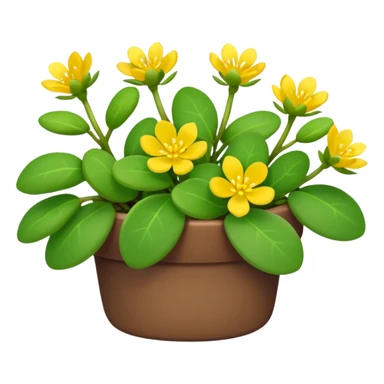 purslane bush plant sticker