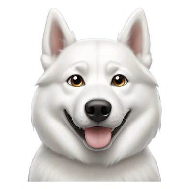 White husky with AirPod max sticker