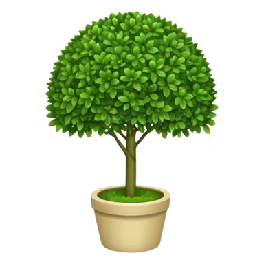 Boxwood sticker