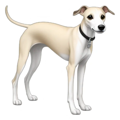 a beige whippet walking on a leash, with a dark snout, black and white mouth patchy and black angel wing like eyes sticker