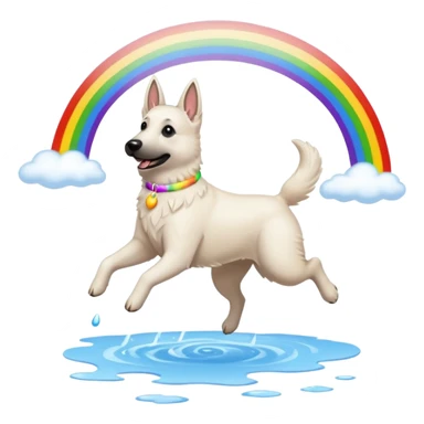 White belgian Shepard jumping over Rain puddles. There is a rainbow in the sky sticker