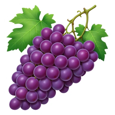 concord grape, realistic purple grapes with a green stem sticker