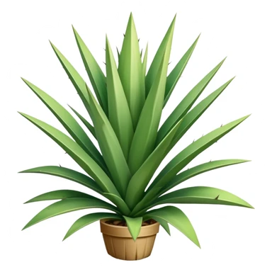yucca plant with spiky green leaves sticker