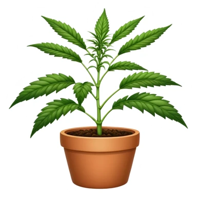 marihuana plant in a pot sticker
