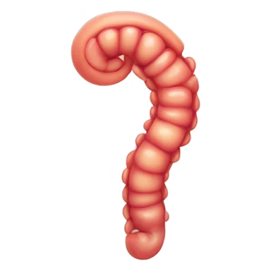 Stomach And intestine sticker