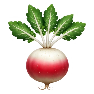 radish UK plant with a bit of white on the bottom of the radish sticker