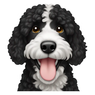 Bernadoodle black with white near mouth sticker