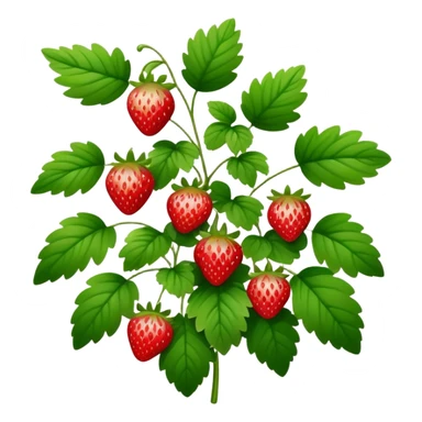 strawberry bush in forest sticker