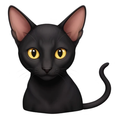 Oriental shorthair black cat sticker