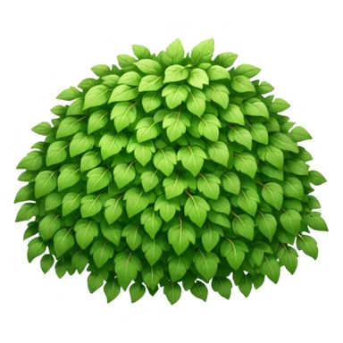 A fluffy bush with soft light-green foliage and hidden twigs. sticker