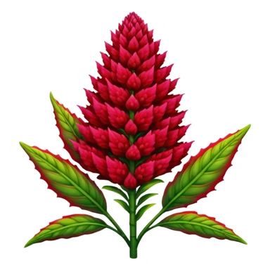 celosia plant sticker