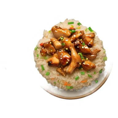 Chicken and rice hibachi sticker