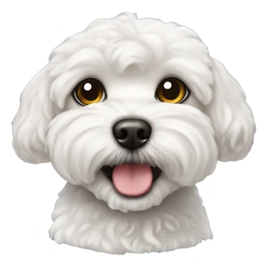Petit chien bichon maltais sticker