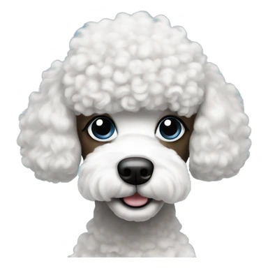 Poodle with half white and half black face with one blue eye sticker